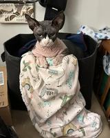 Image event Café Félin Ma Langue Aux Chats | Café à chats | Café-Restaurant | Café Détente à Québec