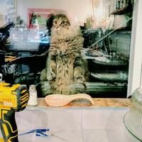 Image Ã©vÃ©nement Café des orties