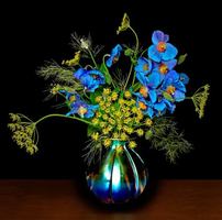 Image Ã©vÃ©nement Restaurant Villa Estevan Lodge