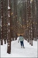 Image event CHEZ BORIVAGE & WHISKY BAR