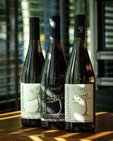 Image Ã©vÃ©nement Cerise Buvette