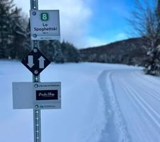 Image événement Pasta Shop Stoneham