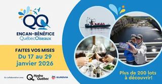 Image event Café de l'île