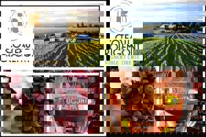 Forfait VIP du Vignoble Coteau de Rougemont à gagner !