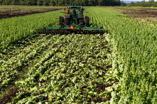 L’achat local : de la parole aux actes