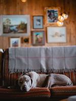 Image promotion Sous-Bois Café-buvette