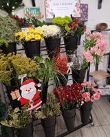 Image promotion Les délices de Fanny