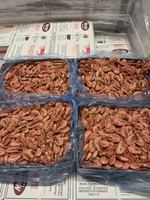 Image promotion Pêcheries Bertrand Desbois