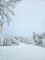 Image promotion Resto-Pub du mont Adstock