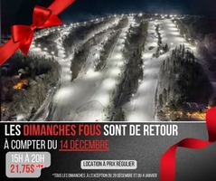 Image promotion O'Bayou Terrasse