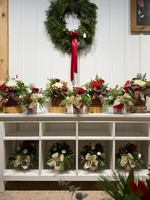 Image promotion Rose Café