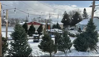 Image promotion Tin Shed Grill