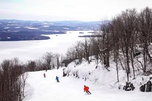 Image promotion Restaurant Club Haus Owl's Head