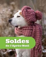 Image promotion Pattes et Griffes