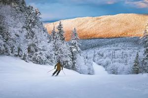 Image promotion Le Beagle Club Bistro-bar