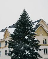 Image promotion Le Beagle Club Bistro-bar