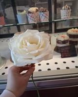 Image promotion Les délices de Fanny