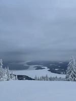 Image promotion Restaurant Club Haus Owl's Head