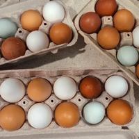 Image promotion Les Trouvailles Gourmandes du Canton