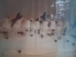 Image promotion Le Comptoir Gourmand / Pâtisserie, café & comptoir-lunch