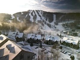 Image promotion Restaurant Les 4 Canards