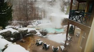 Image promotion Le Beagle Club Bistro-bar