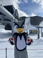 Image promotion Restaurant Club Haus Owl's Head