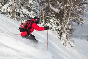 Image promotion Restaurant Le Bouillon