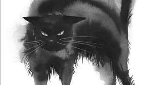 Image promotion Café La Ligne Verte