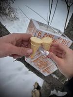 Image promotion Les Sucres Chez Mickey