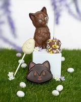 Image promotion La Fudgerie | Charlesbourg