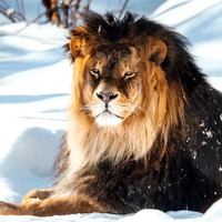 Image promotion La cache à Maxime