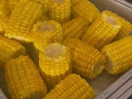 Image promotion Angelo's Pizza & Grill