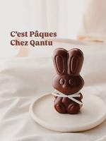 Image promotion Qantu, cacao et chocolat