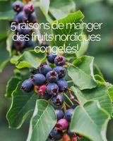 Image promotion Gourmet Sauvage