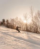 Image promotion Restaurant Club Haus Owl's Head