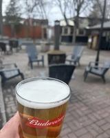 Image promotion Bistro La Trinquette