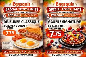 Image promotion Eggsquis Rock-Forest