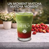 Image promotion Java u Guy
