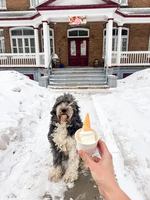 Image promotion Y’EN A Ras-le-bol