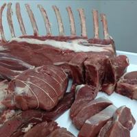 Image promotion Le Rieur Sanglier