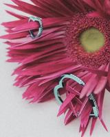 Image promotion Café Holt | Cuisine contemporaine canadienne