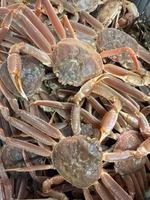 Image promotion Pêcheries Bertrand Desbois