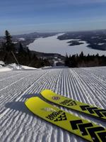 Image promotion Le Hibou Resto-Bar