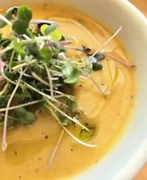 Image promotion L 'Aromate Culinaire