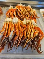 Image promotion Pêcheries Bertrand Desbois