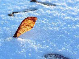 Image promotion Larguer les samares