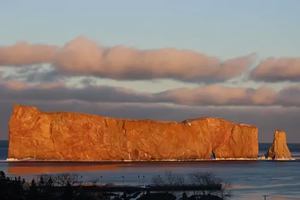 Image promotion Restaurant Maison Black Whale par Nath & Compagnie