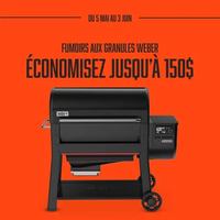 Image promotion BBQ Québec - Québec