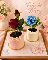 Image promotion Les Ptits midis de Val